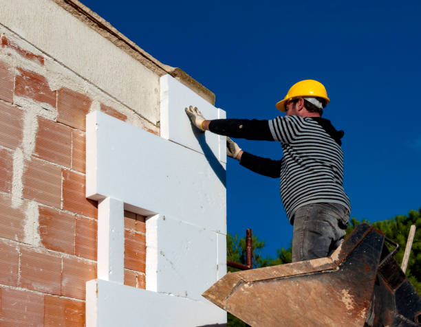 Best Insulation Maintenance and Repair in Waverly, IL