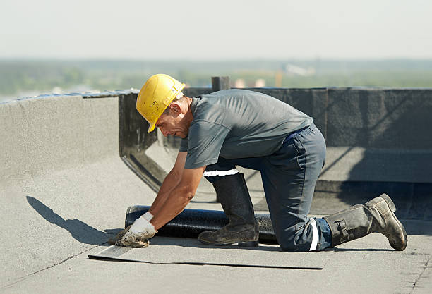 Best Commercial Insulation in Waverly, IL