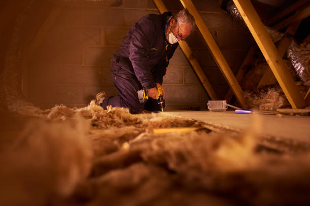 Best Insulation Installation Services in Waverly, IL